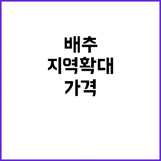 배추 가격 지역 확…