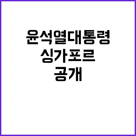 윤석열 대통령 싱가…