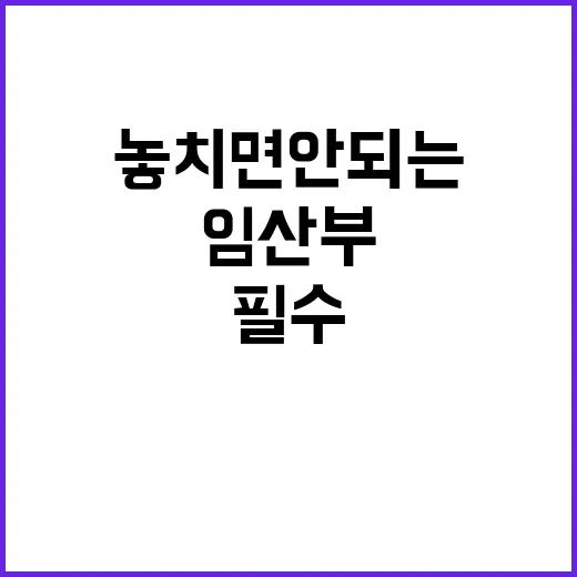 임산부 필수 품목 …