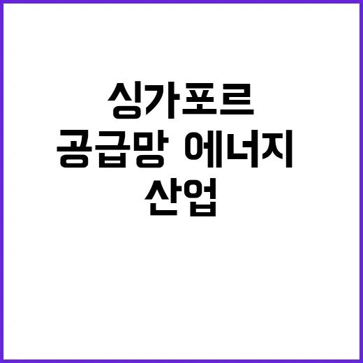 협력 고도화 한싱가…