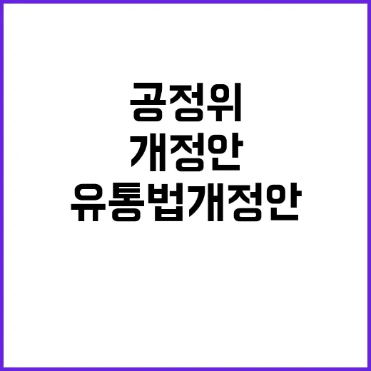 공정위 대규모 유통…