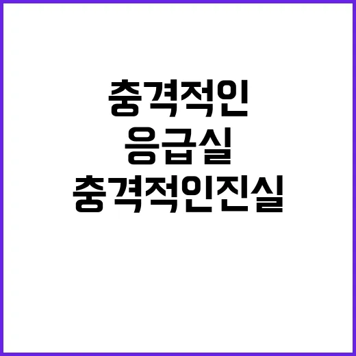 응급실 사망자 수 …