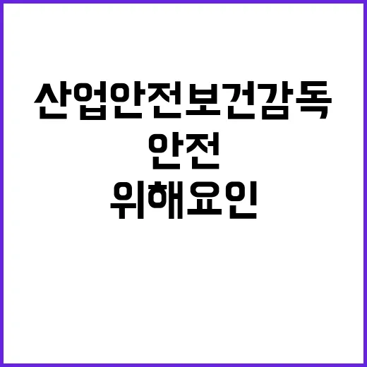 산업안전보건 감독 …