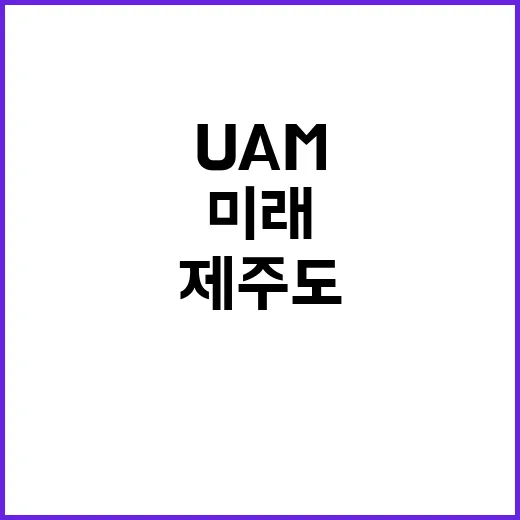 UAM 글로벌 관광…