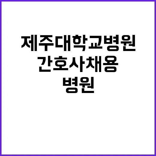 제주대학교병원 2025년도 신규간호사 채용후보자 블라인드 모집공고