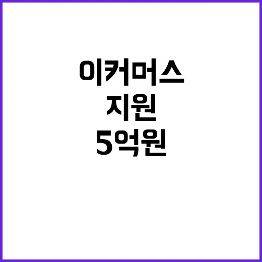 이커머스 지원 확대…