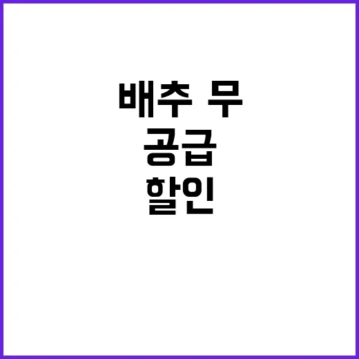 김장재료 할인 배추…