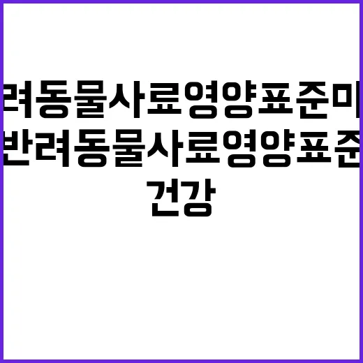 반려동물 사료 영양표준 마련으로 건강 지키기!