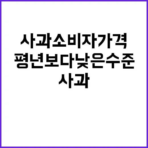 사과 소비자가격 평…