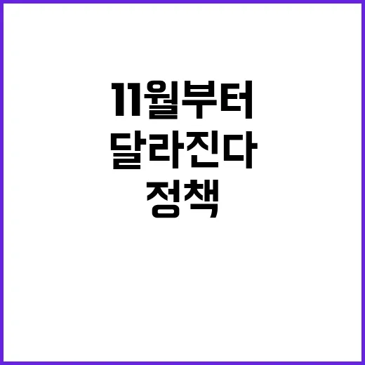 정책 변화 11월부…