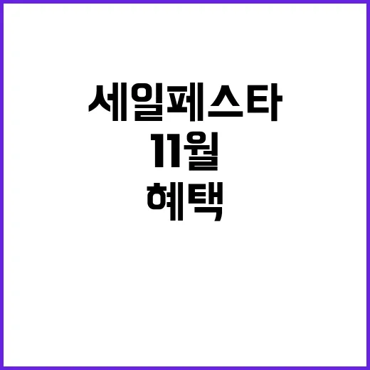 세일페스타 11월 …