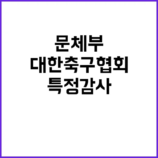 특정감사 문체부와 대한축구협회 결과 궁금증 증대!