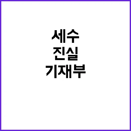 세수부족 진실은 기…