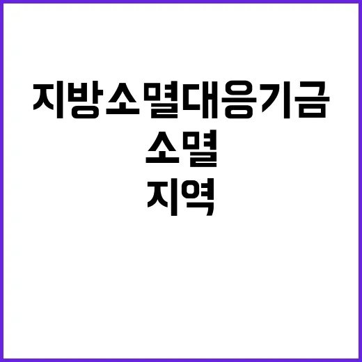 지방소멸대응기금 지…