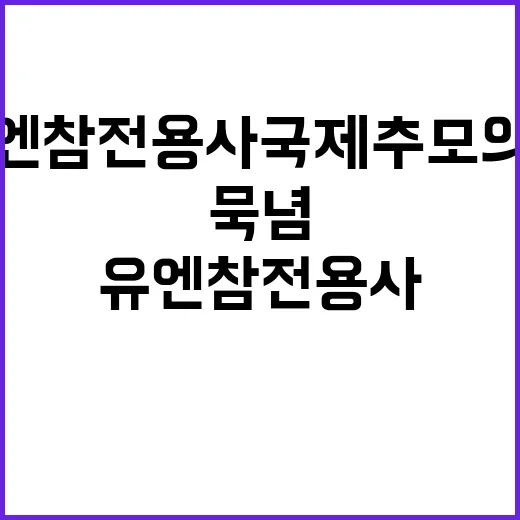 “유엔참전용사 국제추모의 날 묵념 강제성 없어요!”