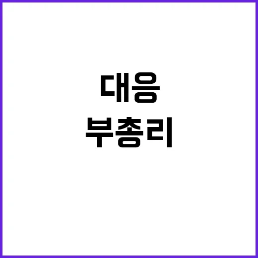 대응 필요 최 부총…