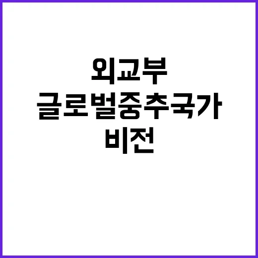 “글로벌 중추국가”…