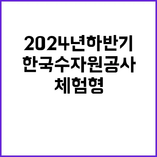 2024년 하반기 체험형 인턴 채용공고