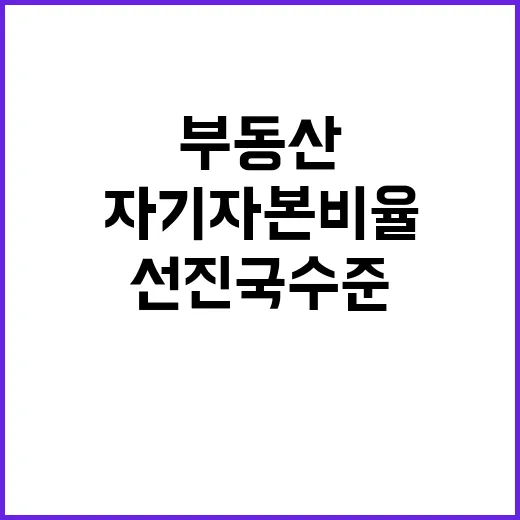 부동산 자기자본비율…