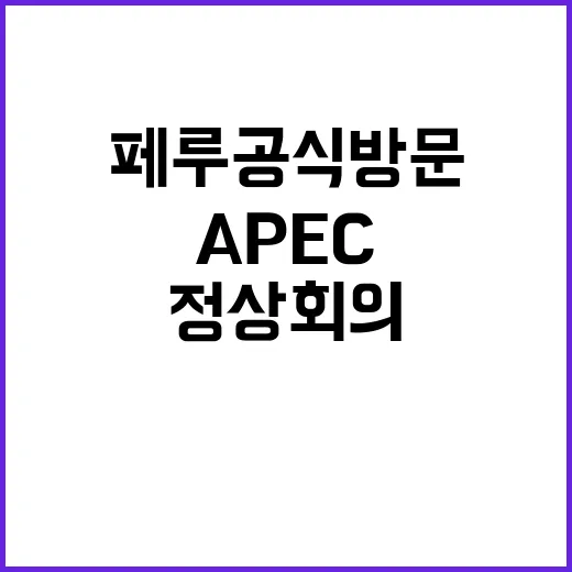 APEC 회의 페루 공식 방문과 브라질 G20 정상회의 참석