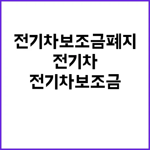 전기차 보조금 폐지…