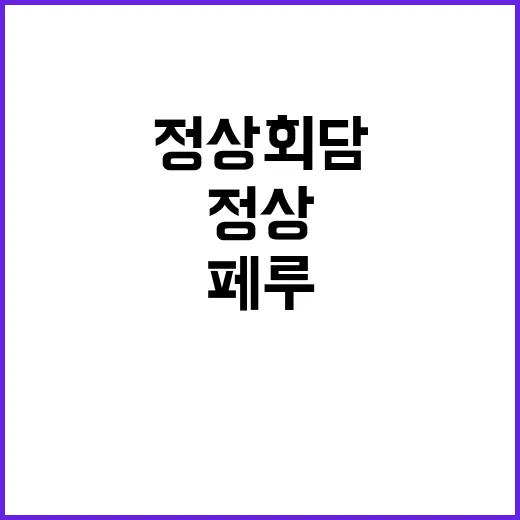 정상회담 한·페루의…