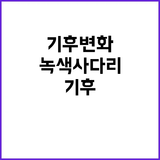 기후변화 해결 방안 녹색 사다리의 힘