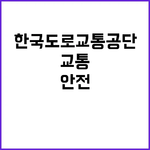 [제주지부] 안전시설검사부 교통계약직 채용공고