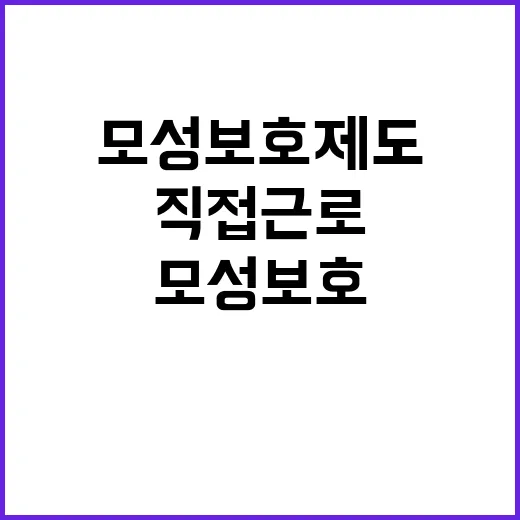 모성보호 제도 고용…