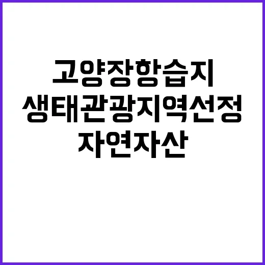 고양 장항습지 생태관광지역 선정으로 자연자산 주목!