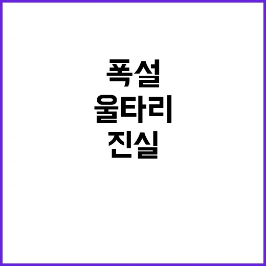 폭설 울타리 복구 …