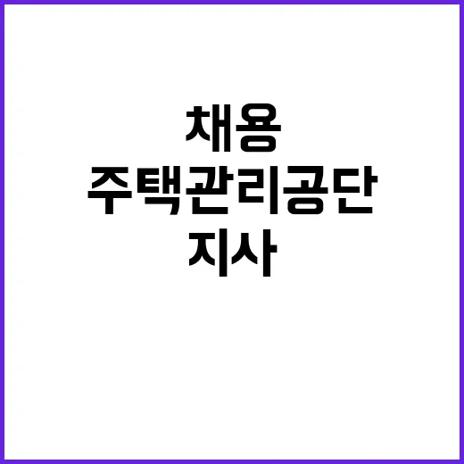 채용형 인턴 채용공고(주택관리공단 제주지사)