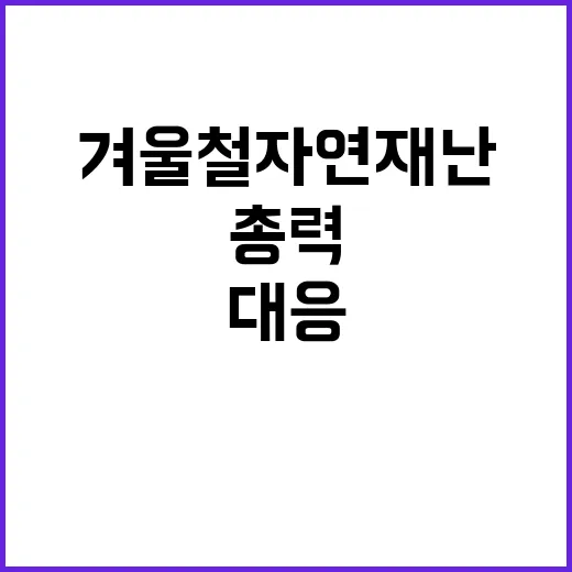 겨울철 자연재난 취약계층 지원에 총력 대응!