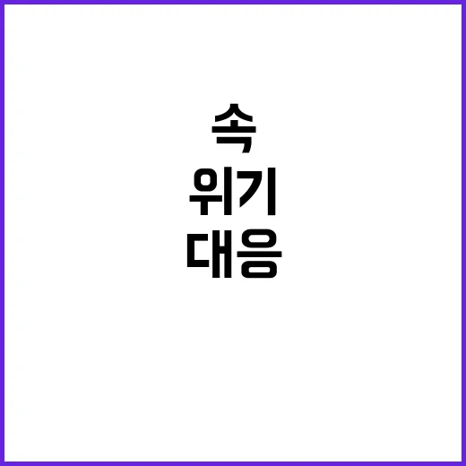 3종 세트 위기 속 특별한 대응 방법 공개!