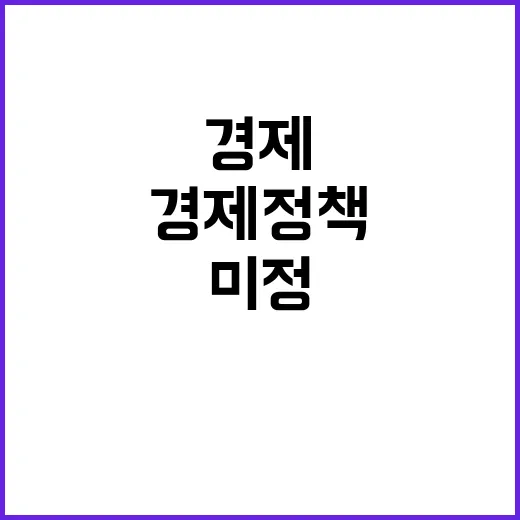 경제정책 방안 구체적 내용 아직 미정입니다!