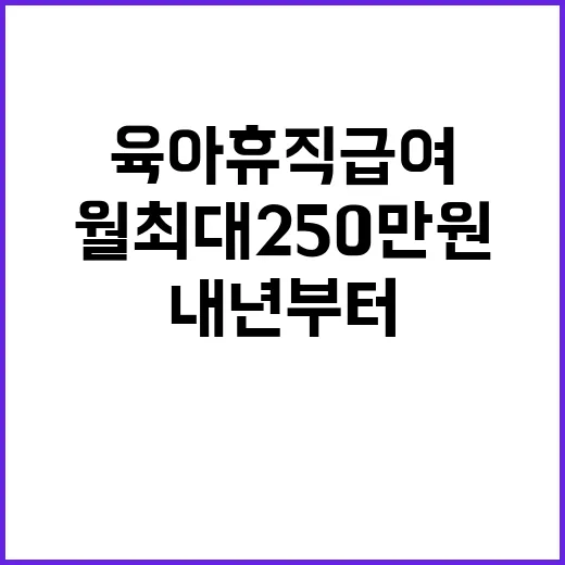 육아휴직 급여 내년부터 월 최대 250만 원 지급!