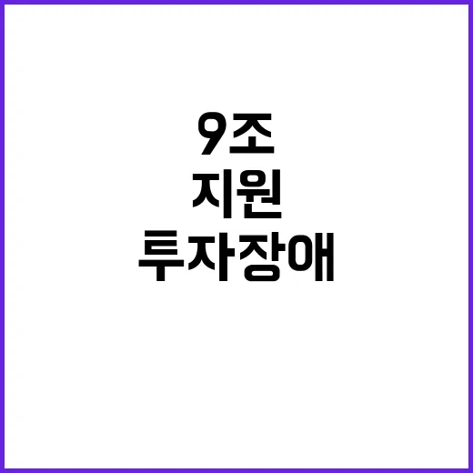 9조 지원 정부 투자 장애 완전 해소 계획!