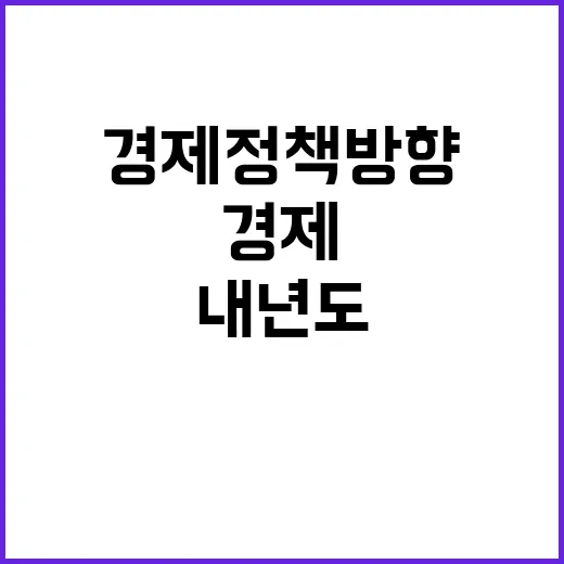 경제정책방향 내년도 결정 아직 미정이라고 기재부!