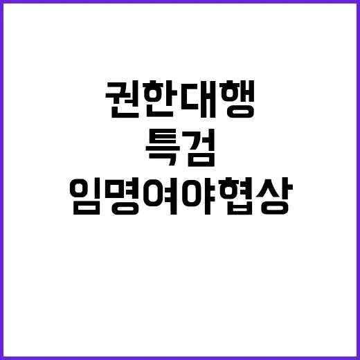 특검 임명 여야협상으로 시작해야 한다는 권한대행의 주장!