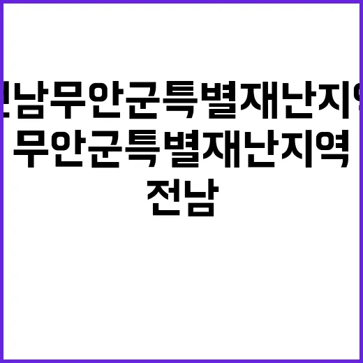 전남 무안군 특별재난지역…범정부 지원 대책 발표!