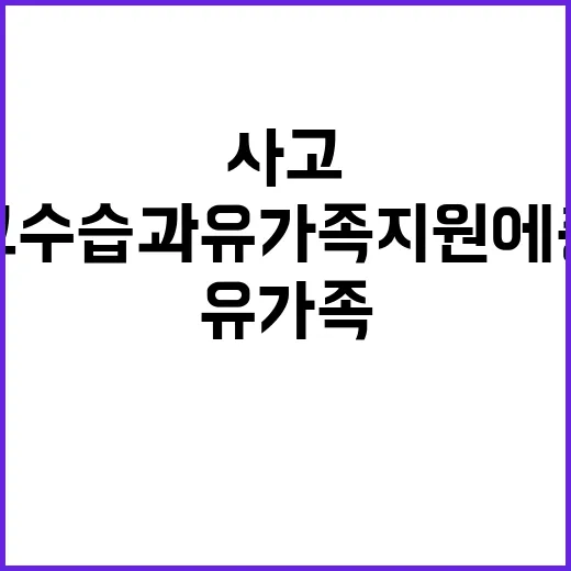 제주항공 사고 수습…