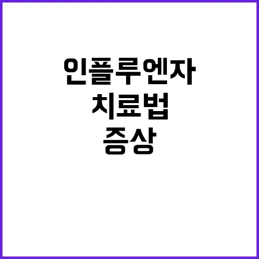 인플루엔자 예방 증상 치료법 모두가 궁금하다!