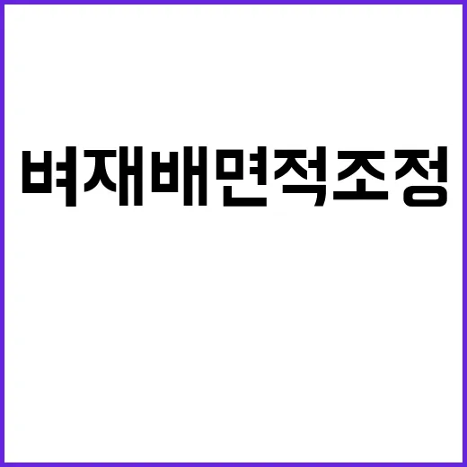 벼 재배면적 조정 쌀 시장 안정 위한 필수 조치