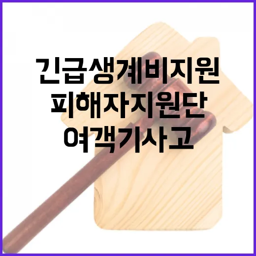 “여객기 사고 피해자 지원단 긴급생계비 지원 발표!”