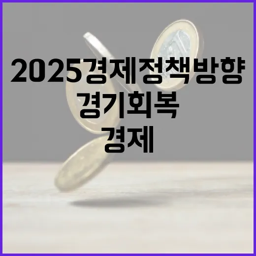 2025 경제정책방향 경기 회복을 위한 필수 전략!