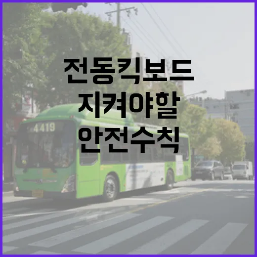 전동킥보드 안전수칙…