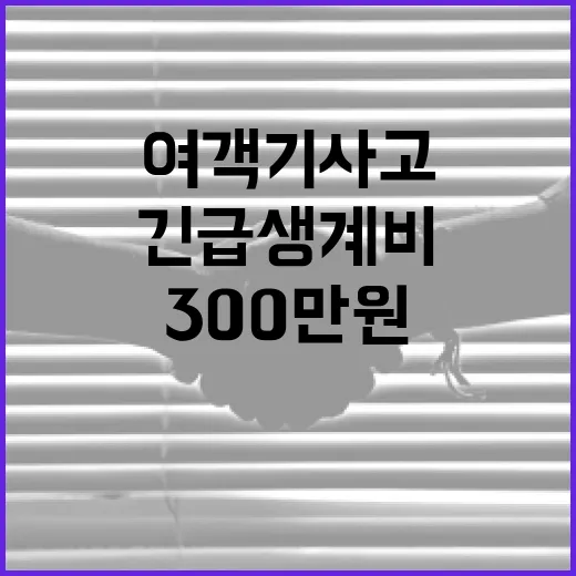 여객기 사고 300…