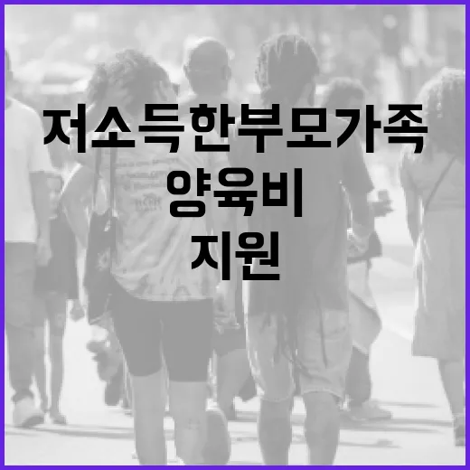 양육비 지원 저소득…