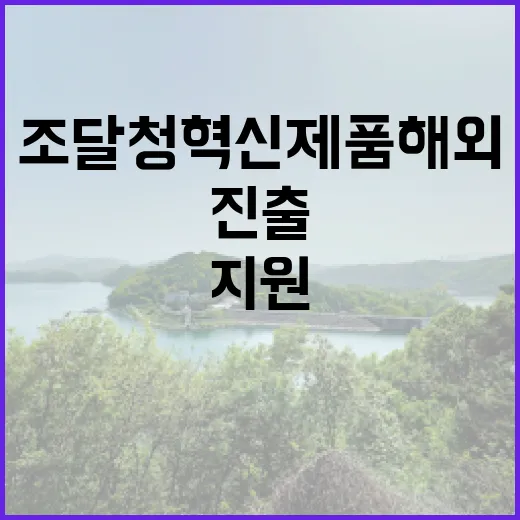 조달청 혁신제품 해…