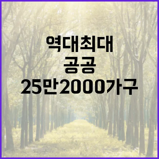 공공 공급 25만2000가구 역대 최대 실현!